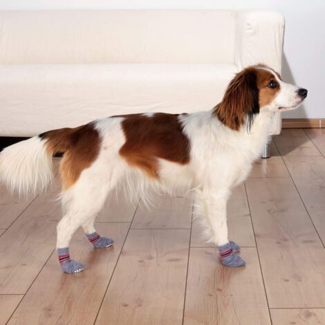 Chaussettes antidérapantes pour chien Trixie L-XL 2 pièces.
