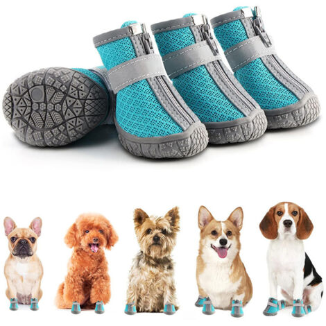 Chaussures de protection pour chien