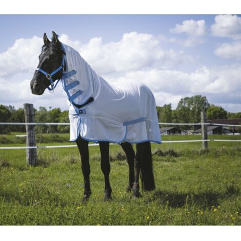 Chemise filet 'Combo” blanc et bleu ciel - Taille : 5'9