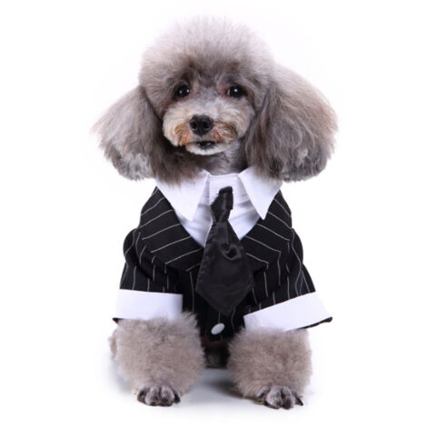 Chemises pour chien pour mariage, smoking pour chiot, tenue de soirée pour chien, smoking pour chien, costume costume et cravate