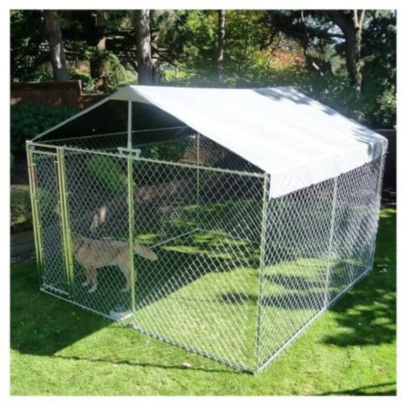 Chenil grillagé pour chien avec toit 12 m2