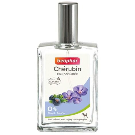 Cherubin, eau de toilette chiot - 50 ml