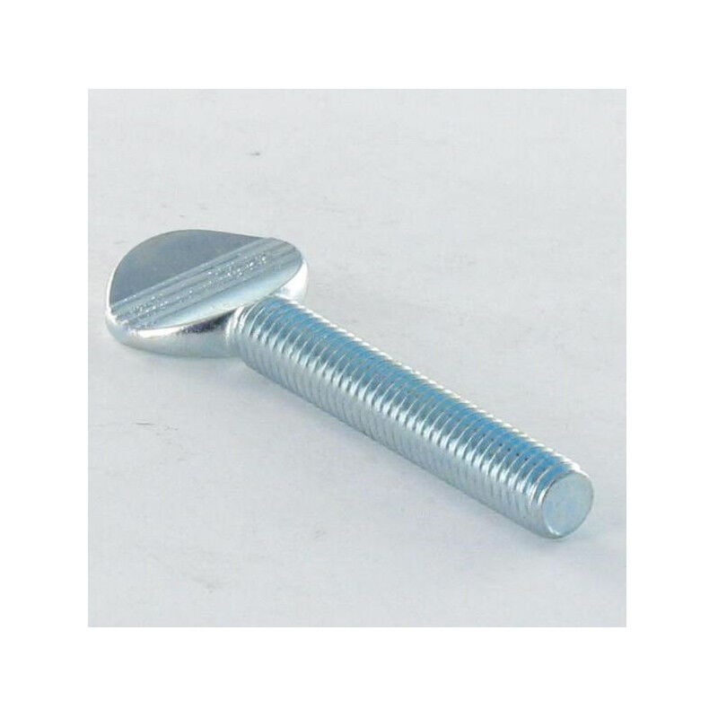 Vis violon M6X40 Acier zingué blanc-200 pièces