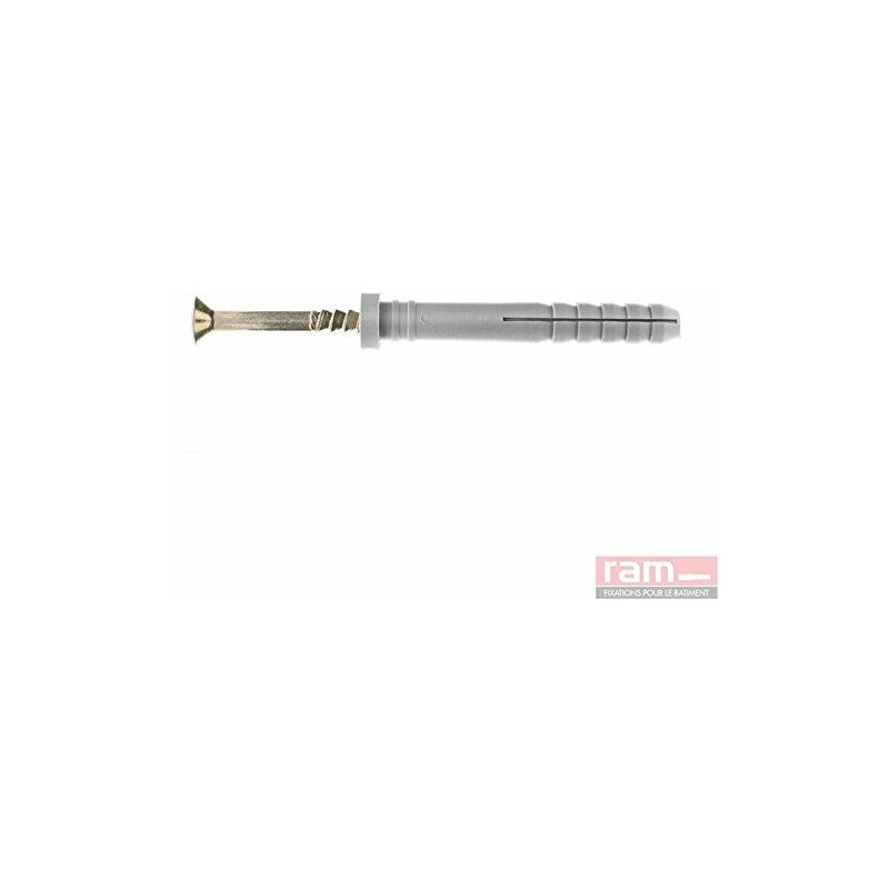 Cheville speed tête plate avec clou-vis tf, 5MM x 30MM, boîte de 100 76153 - RAM