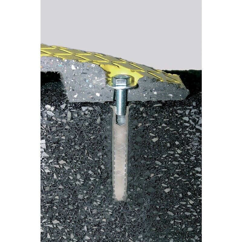 Fixations mécaniques pour asphalte avec taraudage M12x25mm perçage 16mm longueur 100mm boîte de 20 pièces - ing