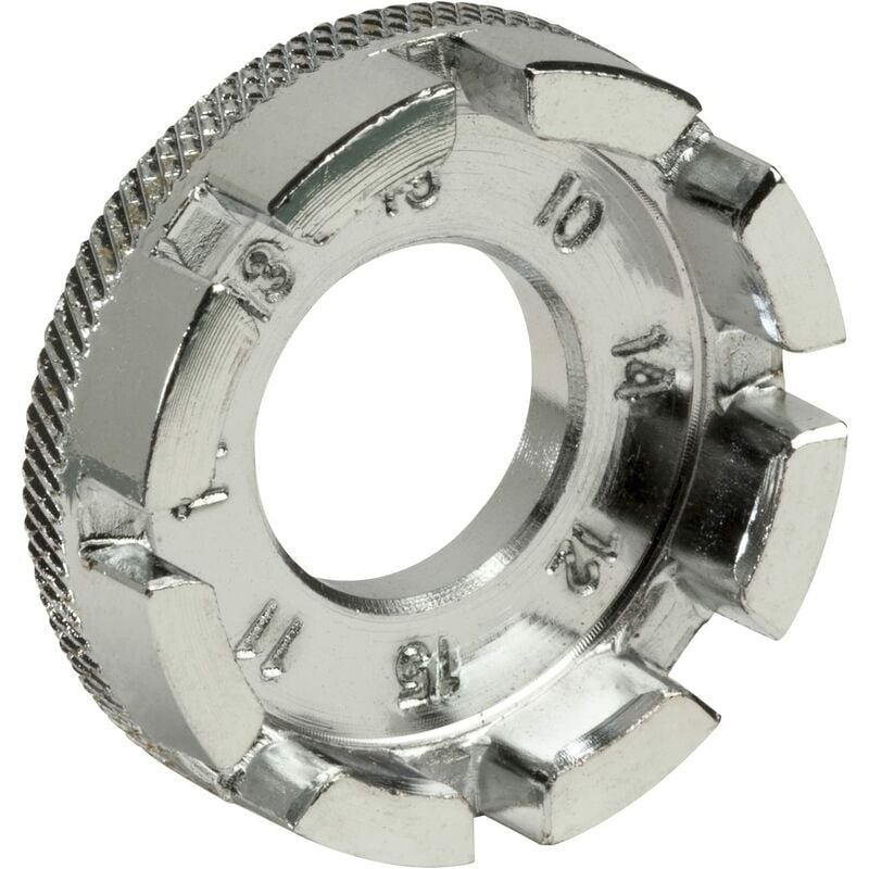 Regalo - Chiave per raggi per bici