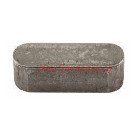 CHIAVETTA alko albero motore tagliaerba tosaerba AK 701595