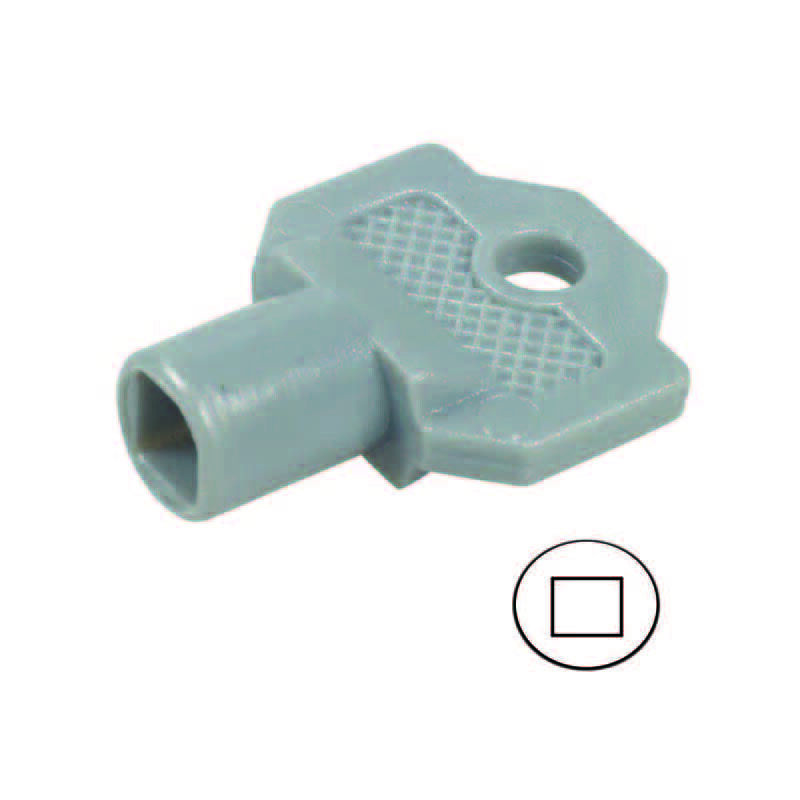 Image of Chiave plastica per cilindro con quadrello per quadri elettrici 152a misuara foro mm.6x6