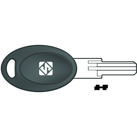 Chiavi punzonate per cilindri euro locks 5 spine eu21p - eu21p