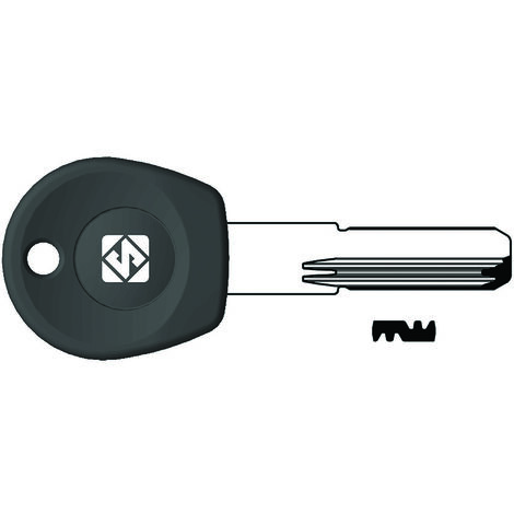 Chiavi punzonate per cilindri moia 4+7+3 spine mo2rp - mo2rp