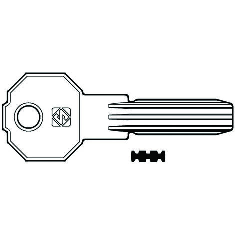 Chiavi punzonate per cilindri prefer 6 spine pf20 - pf20