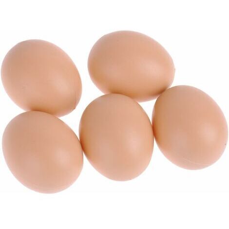 Chicken Coop Lot de 5 fausses œufs en plastique pour poules
