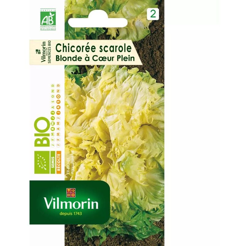 Vilmorin - Sachet graines de Chicorée Scarole Blonde à coeur plein bio