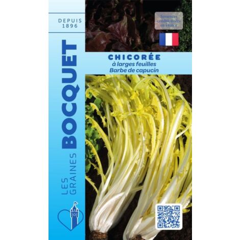 Chicorée à large feuille Barbe de capucin - 6g