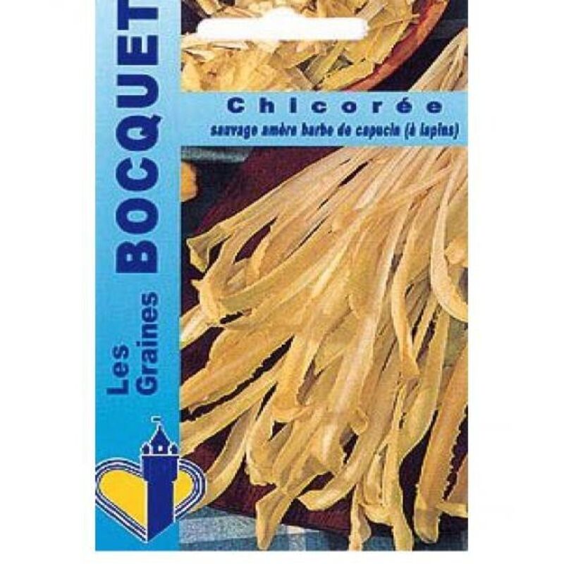 Chicorée à larges feuilles 'Barbe De Capucin' le sachet de 15000 graines environ (25g)