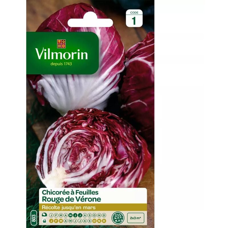 Vilmorin - Sachet graines Chicorée à Feuilles Rouge de Vérone