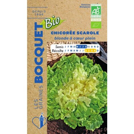 Chicorée Scarole blonde à coeur plein Bio- certifiée ECOCERT FR-BIO-01 - 3g