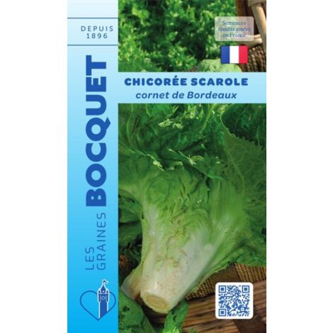 Chicorée scarole cornet de Bordeaux - 4g