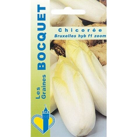 Sachet De Graines De Chicorée Scarole Ronde Verte à Cœur Plein - 4 G - Légume Feuille - A341