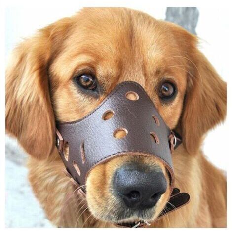 Chien en Cuir Muselière Anti-aboiement pour Les Grands Chiens de Petite Taille Moyenne L,de