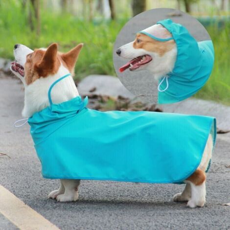 Chien Imperméable Veste à Capuche Visière Transparente Cape Imperméable Pour Petits Moyens Grands Chiens, Bleu M - Bleu M