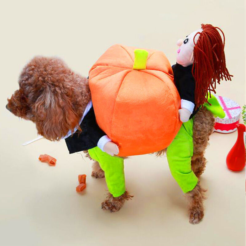 Chien mechant drole d'Halloween Teddy Poodle transforme en vetements de Noel melon calin, utilisez des chiens de compagnie pour porter du melon