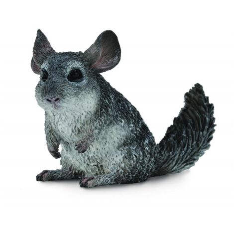 Chinchilla pequeña