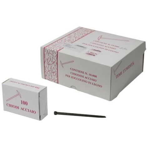 CHIODI ACCIAIO GRUPPINO CF.100 PZ 1,2X30