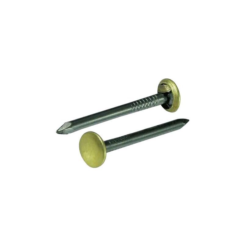 Chiodi acci.testa OTTON.CF.100 PZ.MM.25