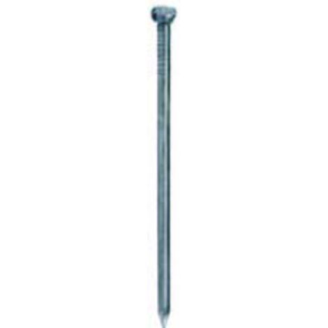 CHIODI TESTA BOMBATA INOX 2,8X50 GR 25