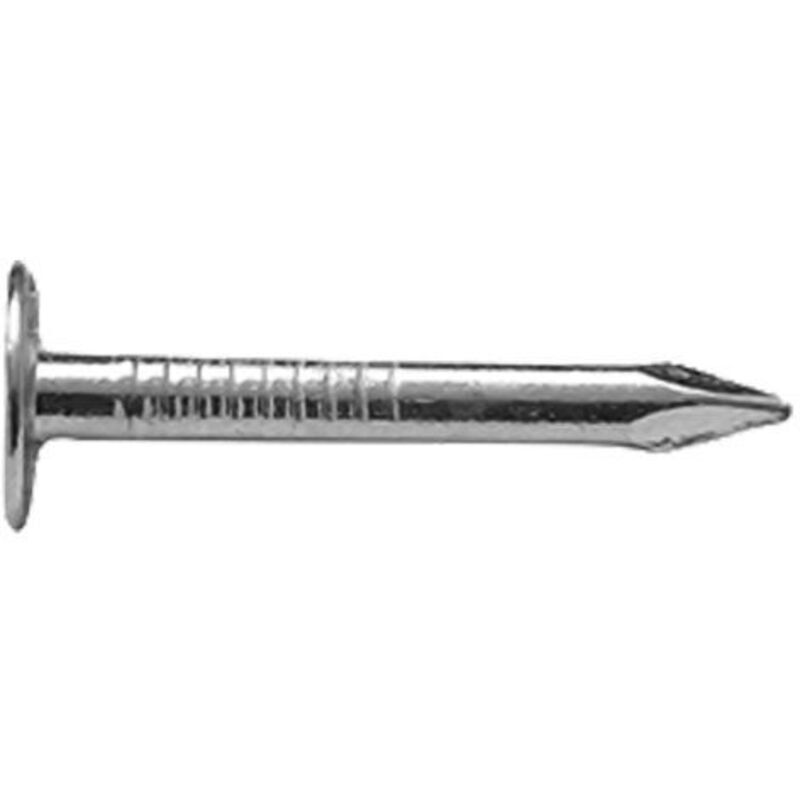 CHIODI TESTA PIANA EXTRA LARGA TPEL mm 16 x 30