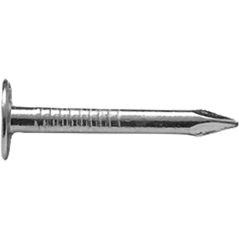 CHIODI TESTA PIANA EXTRA LARGA TPEL mm 17 x 35