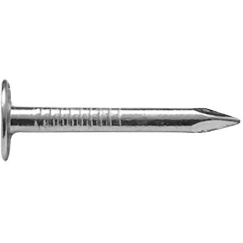 CHIODI TESTA PIANA LARGA TPL mm 11 x 16