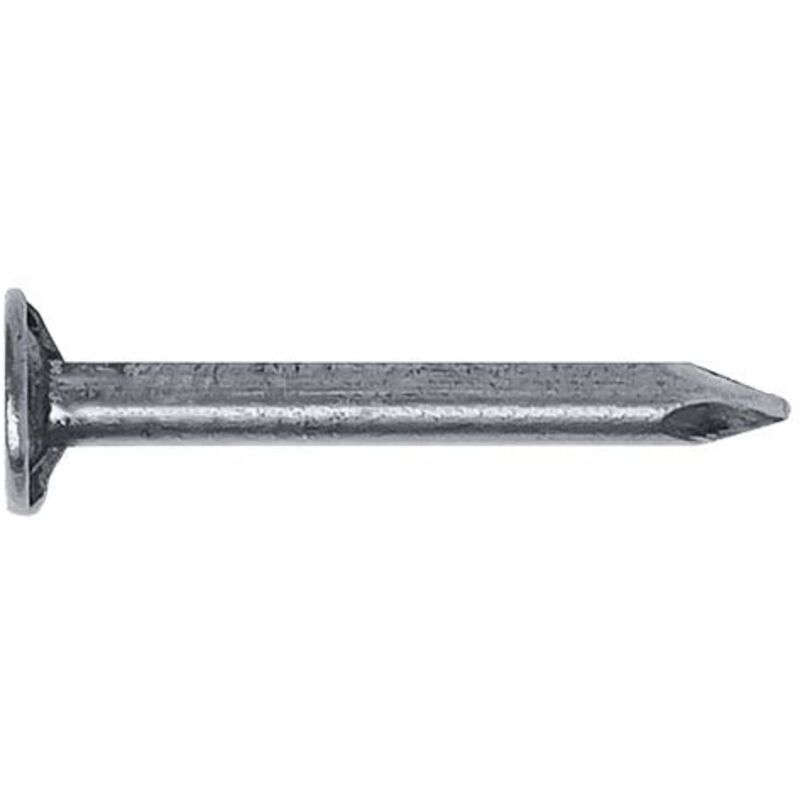 CHIODI TESTA PIANA LARGA TPL mm 14 x 25 - 100 g.