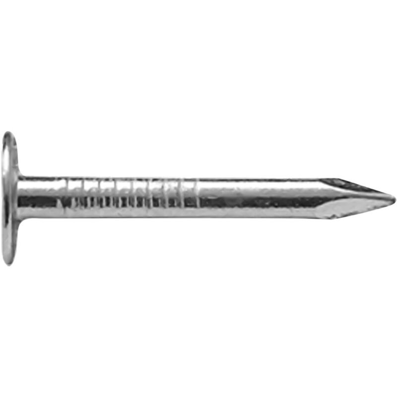 CHIODI TESTA PIANA LARGA TPL mm 14 x 25