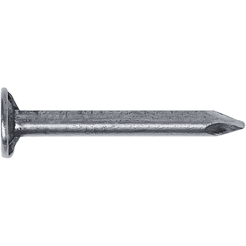 CHIODI TESTA PIANA LARGA TPL mm 15 x 32 - 100 g. TPL mm 15 x 32 - 100 g.