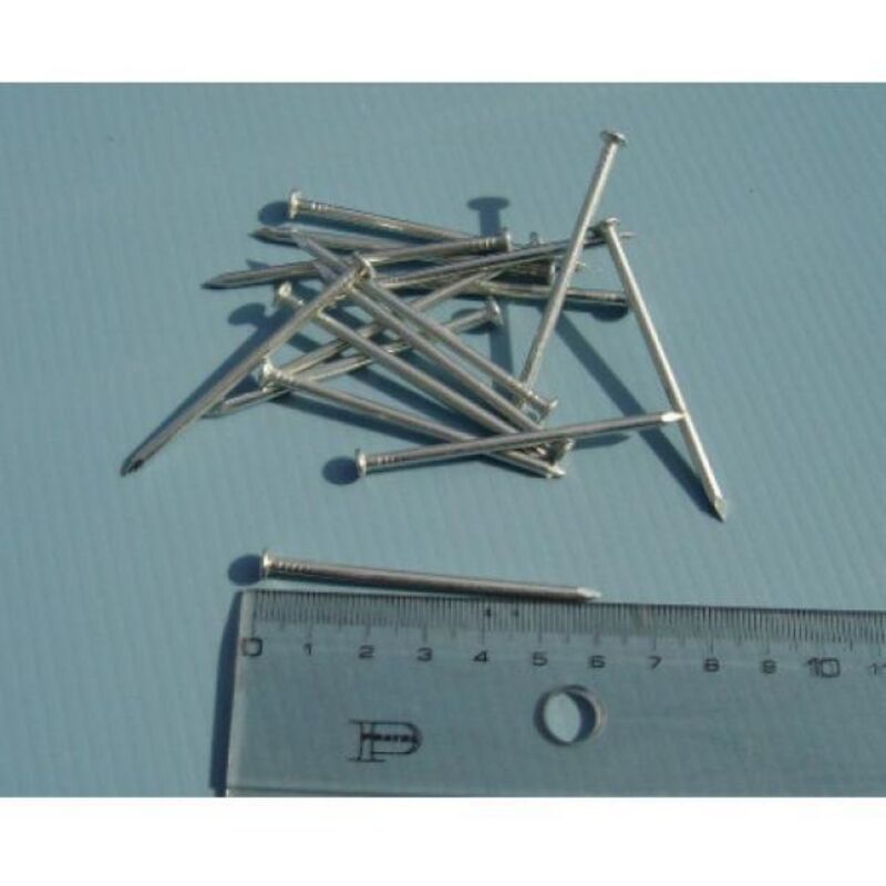 Chiodi zincati per arnie 16x60 confezione da 1 kg.