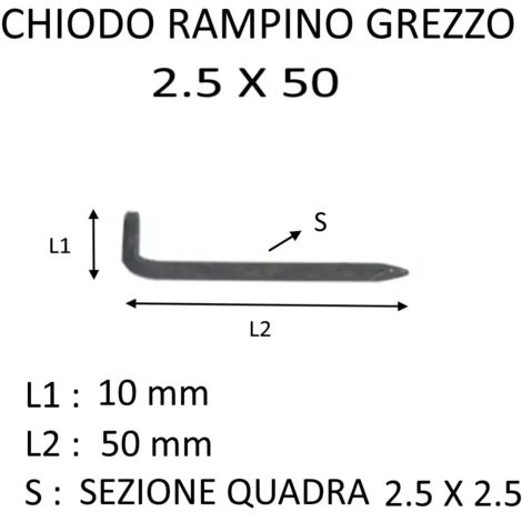 CHIODO RAMPINO GREZZO CON SEZIONE QUADRA 2,5 X 50
