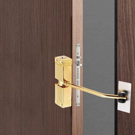 Chiudiporta – Chiudiporta piccolo, silenzioso, regolabile e con chiusura automatica. Chiudiporta di sicurezza per case, uffici, porte in metallo e legno, sia residenziali che commerciali.