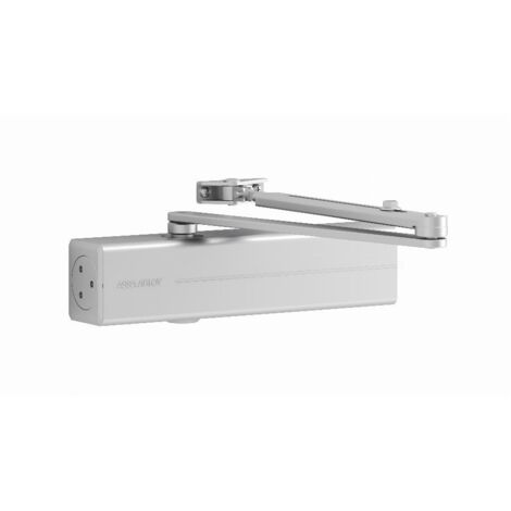Chiusura automatica per porte DC 300 argento EN 3-6