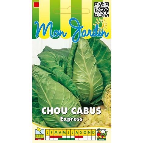 Chou cabus Express (pointu) - 3g