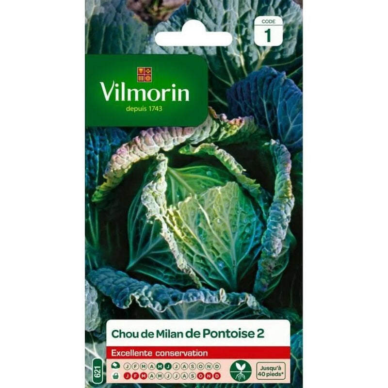 Vilmorin - Sachet de graines Chou de Milan de Pontoise 2