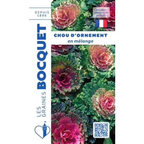 Chou d'ornement en mélange - 1g