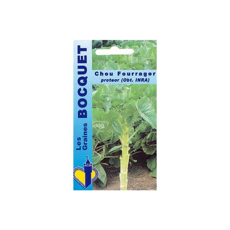 Graines Bocquet - Chou fourrager Protéor (branchu) - 10g