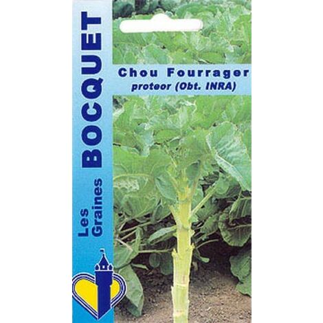 Chou fourrager Protéor (branchu) 10g – Semis de mars à mai – Résistant au froid – Pour alimentation animale – Graines Bocquet