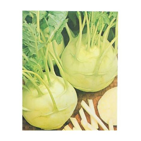 CHOU RAVE DI VIENNA BIANCO - 3 G - Graines de légumes