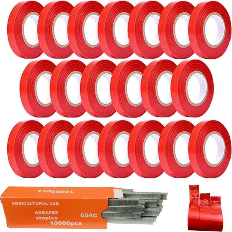 Choyclit - 21 Pack Pince à Lier Branche Machine à Taper Nouer Branches, 20 pcs Rubans de Pépinière, 1 Boîte Agrafes pour Raisins, Tomates Vignes