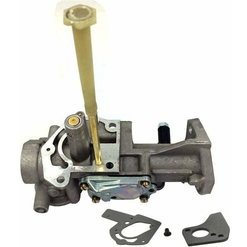 CHOYCLIT Convient pour les moteurs Briggs & Stratton 5hp, séries 130202, séries 112202, séries 112232, séries 134202, séries 137202, séries 133212.