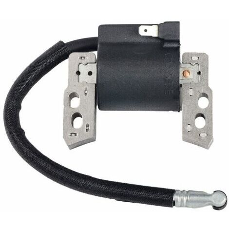 CHOYCLIT Ersatz-Zündspule für Briggs & Stratton 695711, 802574, 493237, 796964, 492416