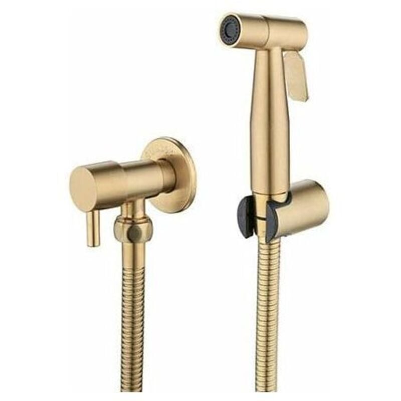 Choyclit - Pulvérisateur de toilettes pour bidet et de toilettes en acier inoxydable, Kit de pulvérisateur de bidet, pulvérisateur de robinetterie
